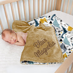 Lofaris Cute Herbivorous Dinosaur Minky Baby Blanket For Boys
