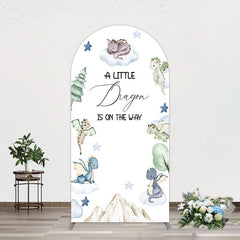 Lofaris Dragon On The Way Baby Shower Arch Backdrop