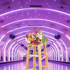 Lofaris Dynamic Purple Lighted Dance Hall Photo Backdrop