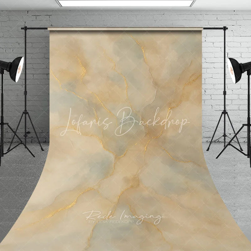 Lofaris Elegant Abstract Textured Sweep Backdrop with Golden Veins Beige and Grey Artistic Photography Background