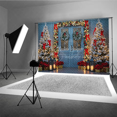 Lofaris Elegant Christmas Door Photography Backdrop Blue in Snow with Garland Winter Holiday Photo Background
