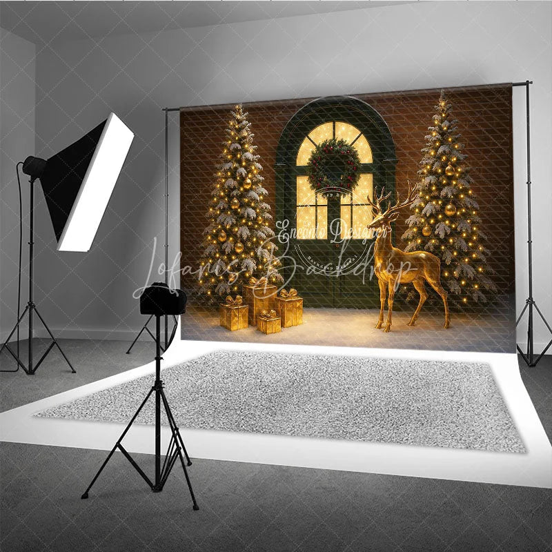 Lofaris Elegant Christmas Door Photography Backdrop Green with Gold Reindeer Snowy Holiday Mini Session Background