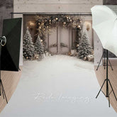 Lofaris Elegant Christmas Doorway Sweep Photography Backdrop with Snow Floor Frosted Trees Silver and Gold Holiday Photo Prop