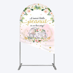 Lofaris Elephant Sweet Peanut Is On Her Way Arch Backdrop