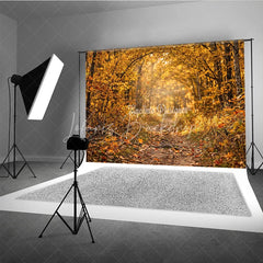 Lofaris Ethereal Golden Autumn Forest Photography Backdrop Sunlit Path with Falling Leaves for Seasonal Portraits