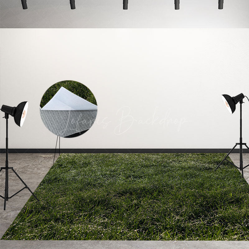 Lofaris Fairy Tale Night Forest Tree House Room Set Backdrop