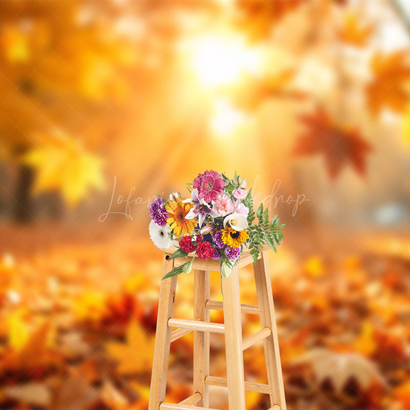 Lofaris Fallen Leaves Under Sunshine Bokeh Autumn Backdrop