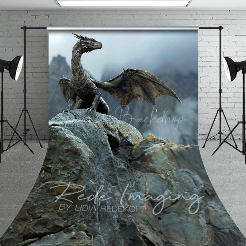 Lofaris Fantasy Fairy Tale Black Magic Dragon Sweep Backdrop