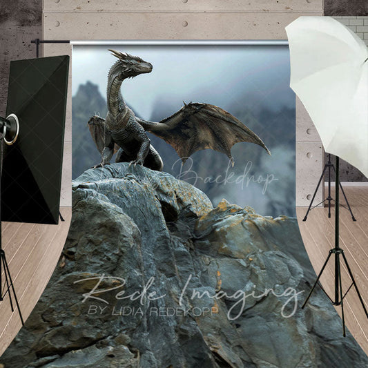 Lofaris Fantasy Fairy Tale Black Magic Dragon Sweep Backdrop