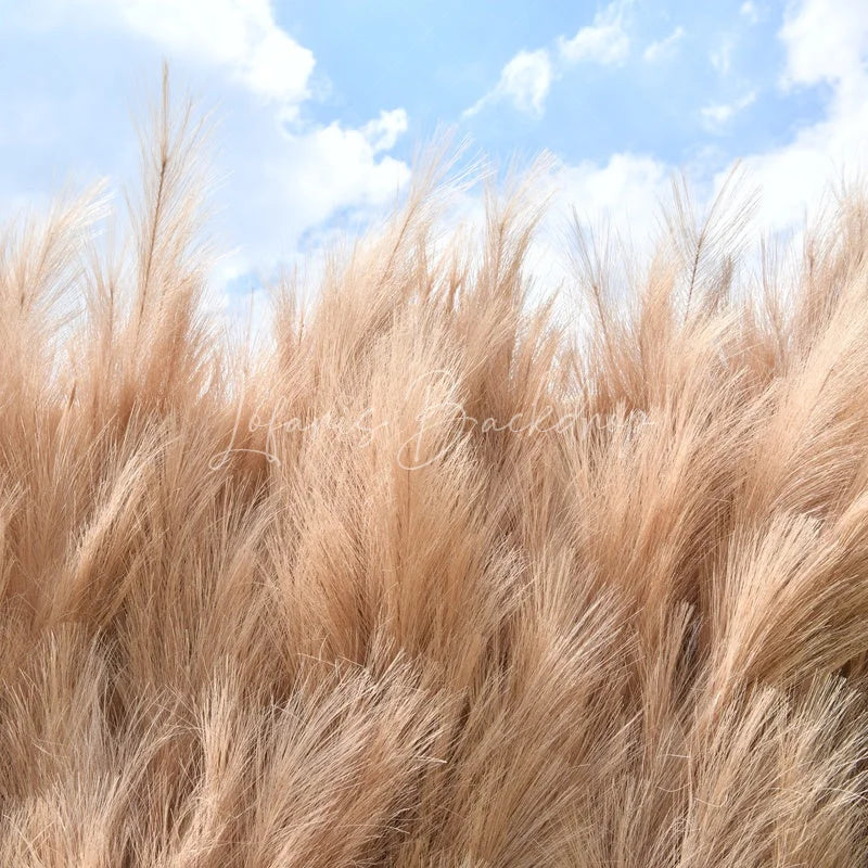 Lofaris Fluffy Light Brown Faux Pampas Grass Artificial Flower Wall Elegant Boho Rustic Event Decor Backdrop