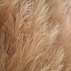 Lofaris Fluffy Light Brown Faux Pampas Grass Artificial Flower Wall Elegant Boho Rustic Event Decor Backdrop