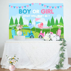 Lofaris Gender Reveal Golf Course Scene Blue Pink Backdrop
