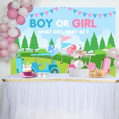 Lofaris Gender Reveal Golf Course Scene Blue Pink Backdrop