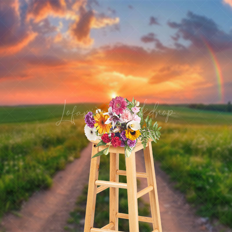 Lofaris Green Field Sunset Rainbow Natural Scene Backdrop