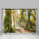 Lofaris Green Tree Forest Warm Sunshine Photography Backdrop
