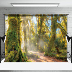 Lofaris Green Tree Forest Warm Sunshine Photography Backdrop