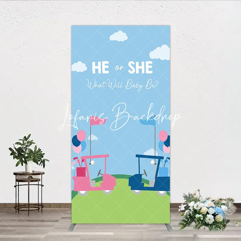 Lofaris He or She Golf Theme Gender Reveal Rectangle Arch Backdrop Pink and Blue Baby Shower Party Decor