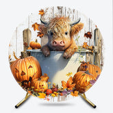 Lofaris Highland Cow in a Tub Round Backdrop Autumn Farm with Jack O’ Lanterns Rustic Fall Thanksgiving Photo Prop