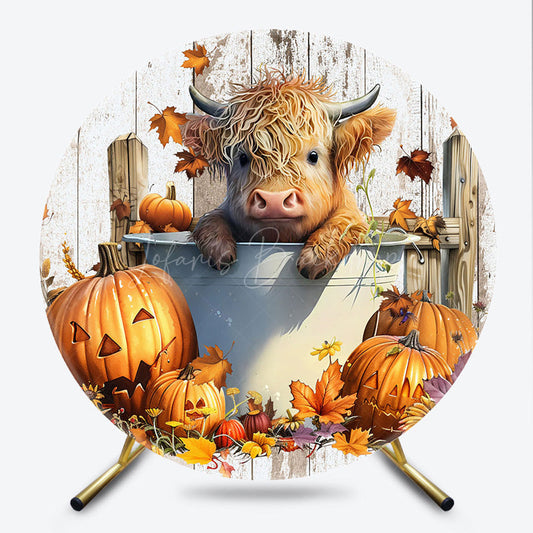 Lofaris Highland Cow in a Tub Round Backdrop Autumn Farm with Jack O’ Lanterns Rustic Fall Thanksgiving Photo Prop
