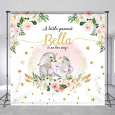 Lofaris Little Peanut Is On Her Way Custom Baby Shower Backdrop