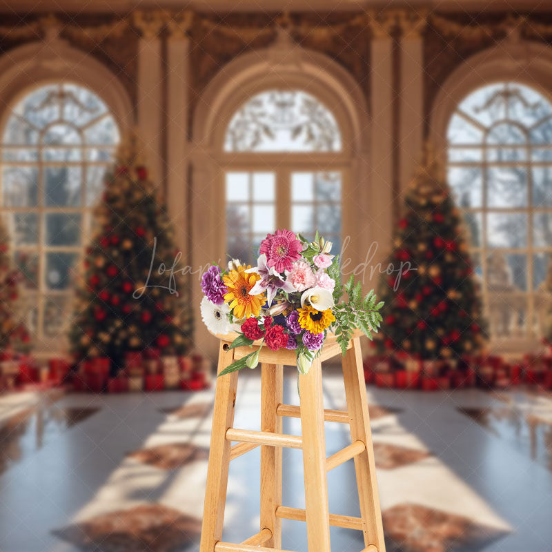Lofaris Luxury Palace Window Christmas Vibe Photo Backdrop