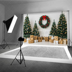 Lofaris Minimalist Christmas Photography Backdrop Clean White Wall with Red Wreath Modern Holiday Photo Background