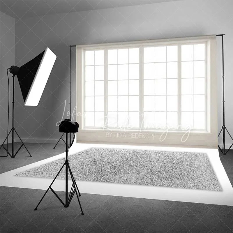 Lofaris Minimalist White Window Photography Backdrop Bright Indoor Studio Portrait Background Elegant Home Decor