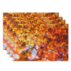 Lofaris Modern Autumn Fall Foliage Print Set of 4 Placemats for Thanksgiving Dinner and Seasonal Kitchen Table Decor