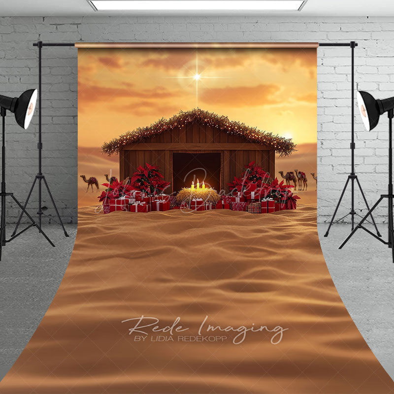 Lofaris Nativity Scene Sweep Backdrop Manger with Star of Bethlehem Religious Christian Christmas Photo Floor Drop