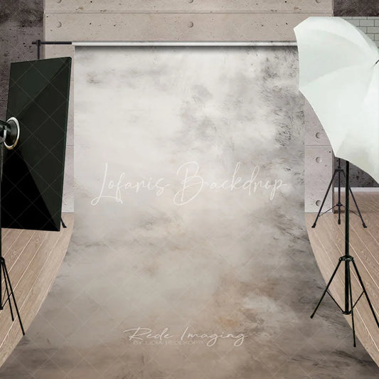 Lofaris Neutral Beige Grey Abstract Textured Sweep Backdrop Modern Minimalist Photography Background