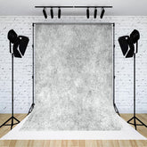 Lofaris Old Master Grey White Abstract Texture Photo Backdrop