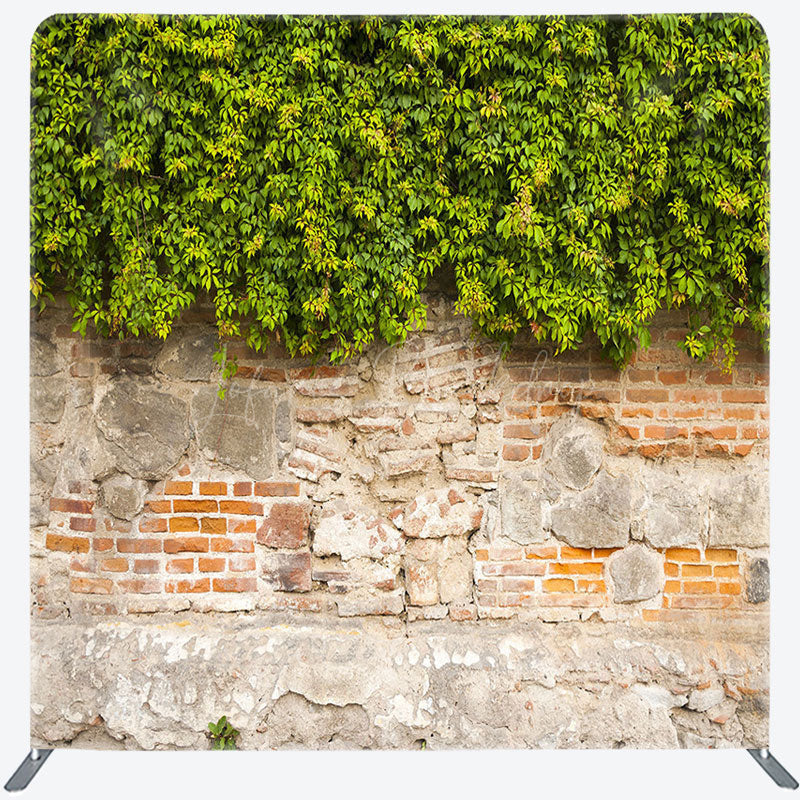 Lofaris Old Wall Green Vegetation Square Tension Backdrop
