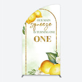 Lofaris Our Main Squeeze is Turning One Half Moon Arch Backdrop Lemon Themed First Birthday Summer Citrus Party Photo Prop
