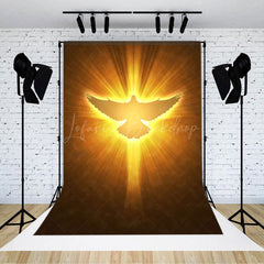 Lofaris Pigeon In Light Heaven Scene Photography Backdrop