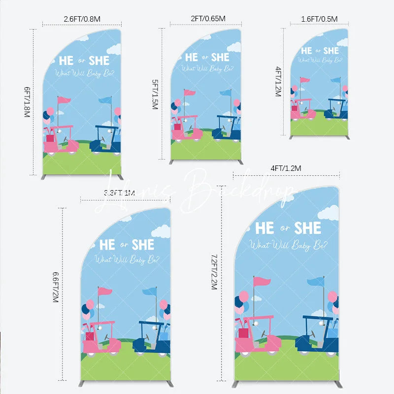 Lofaris Pink and Blue Golf Cart Gender Reveal Half Moon Arch Backdrop He or She Baby Shower Party Decor