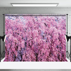 Lofaris Pink Sakura Forest Dense Blossoms Soft Warm Backdrop
