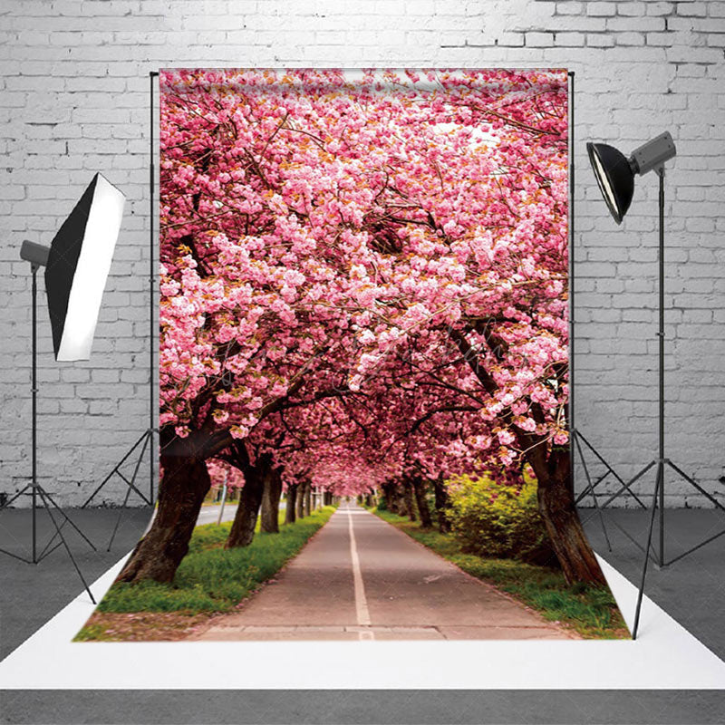 Lofaris Pink Sakura Lined Road Sweet Spring Scenery Backdrop