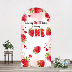 Lofaris Pink Sweet Berry Happy Firsty Birthday Arch Backdrop
