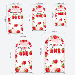 Lofaris Pink Sweet Berry Happy Firsty Birthday Arch Backdrop