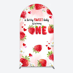 Lofaris Pink Sweet Berry Happy Firsty Birthday Arch Backdrop