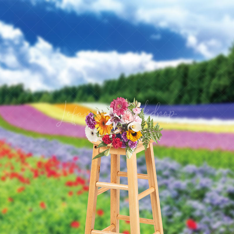 Lofaris Rainbow Flower Field Blue Sky Spring Photo Backdrop