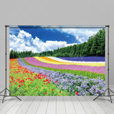 Lofaris Rainbow Flower Field Blue Sky Spring Photo Backdrop