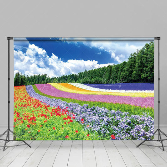 Lofaris Rainbow Flower Field Blue Sky Spring Photo Backdrop