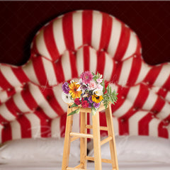 Lofaris Red and White Stripe Headboard Photography Backdrop Vintage Circus or Carnival Themed Fun Bedroom Photo Prop