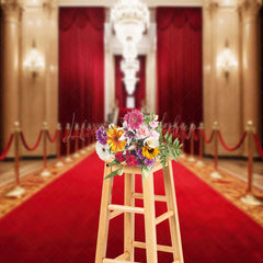 Lofaris Red Carpet Grand Auditorium Photography Backdrop