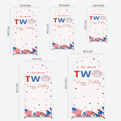 Lofaris Red White Two Happy Birthday Holiday Arch Backdrop