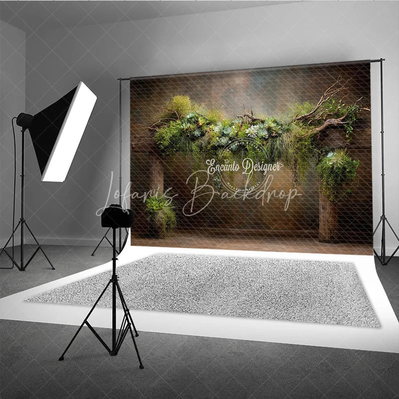 Lofaris Rustic Greenery Photography Backdrop Wooden Arch with Succulents Fine Art Maternity Photo Background