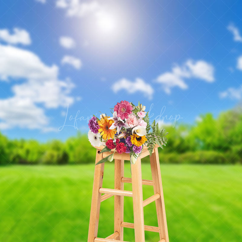 Lofaris Simple Blue Sky Grassland Natural Scenery Backdrop