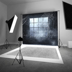 Lofaris Spooky Window with Cobwebs Photography Backdrop Haunted Stone Wall Fog Gothic Halloween Photo Shoots