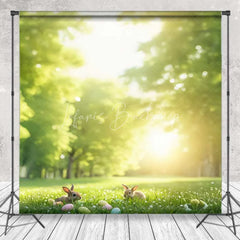 Lofaris Spring Forest Room Set Backdrop Sunny Green Grass Easter Bunny Photography Background Nature Scene Photo Decor